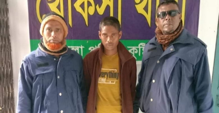 খোকসায় দুই মহিষসহ চোর আটক