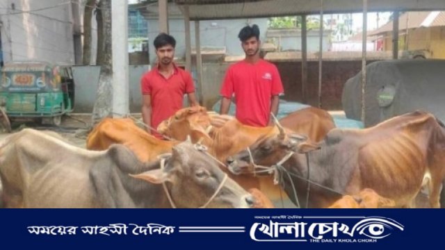 পুলিশ অভিযান চালিয়ে ২ গরু চোরকে গ্রেপ্তার,৫ টি গরু উদ্ধার