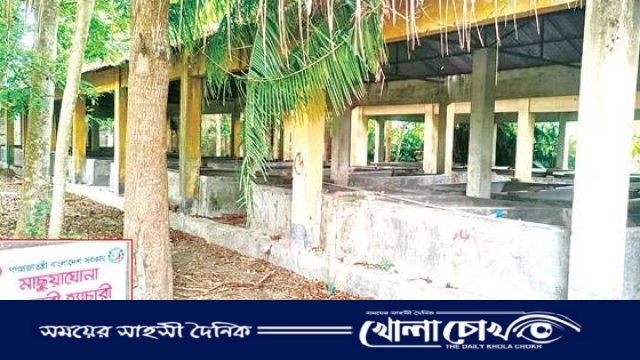 চট্টগ্রামের হালদা প্রাকৃতিক মৎস্য প্রজনন প্রকল্পের হ্যাচারি অকেজো, জনবল সংকট