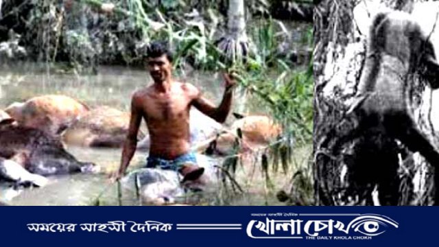 আজ ভয়াল ২৯ এপ্রিল,  চট্টগ্রামের বাঁশখালীতে এখনো নির্মাণ হয়নি স্থায়ী বেড়িবাঁধ