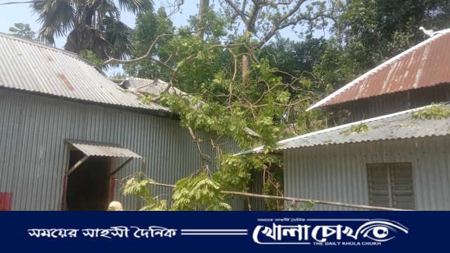 সালথায় কালবৈশাখীর ঝড়ে প্রতিবেশির গাছ ভেঙ্গে পড়ে দিনমুজুরের ব্যাপক ক্ষতি 