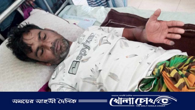 সদরপুরে রাসেলস ভাইপার সাপের কামড়ে আহত মিঠু সুস্থ আছেন