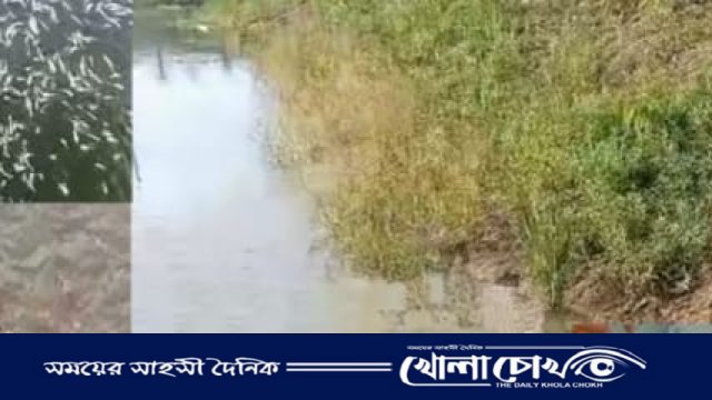 ফরিদপুরে একজন তরুণ উদ্যোক্তা মোসাদ্দেক মন্ডল রাহাত ‌