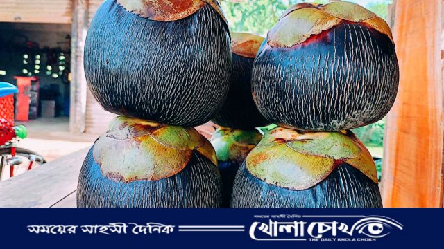 খোকসার গ্রাম-গঞ্জে তালের পিঠা খাওয়ার ধুম 