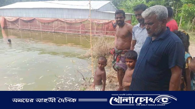 মাগুরায় দুর্বৃত্তদের ছোড়া গ্যাসট্যাবলেটে ৫ লাখ টাকার উর্ধ্বে মাছের ক্ষতি 