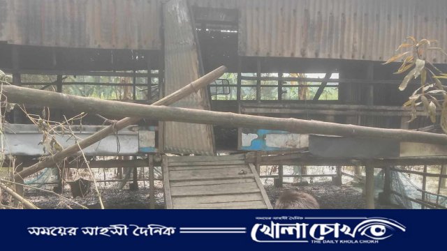 সালথায় মধ্য রাতে ছালগের খামারে আগুন দিলো দূর্বৃত্তরা, ১৭ ছাগলসহ খামার পুড়ে ছাই