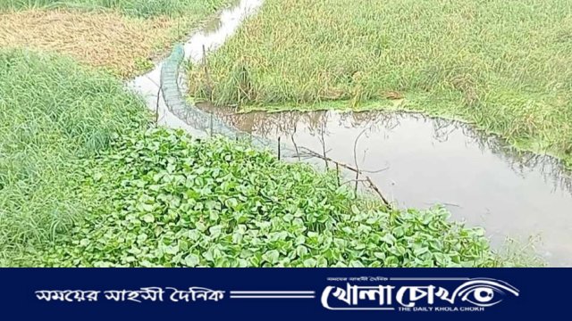 ভাঙ্গায় খালের পানির মধ্যে মিললো যুবকের মরদেহ 