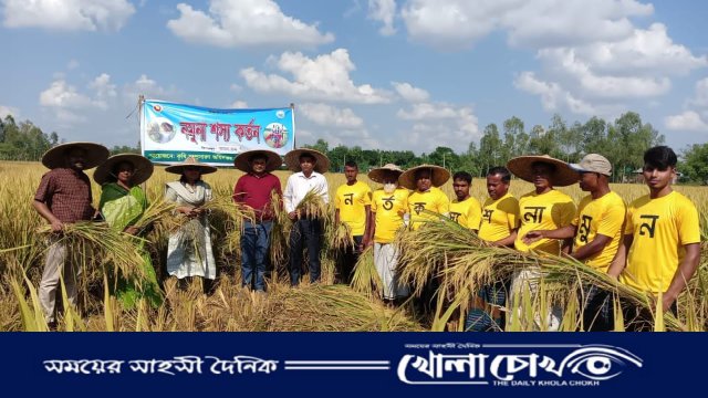 কালীগঞ্জে চলতি মৌসুমে আমন ধানের বাম্পার ফলনের স্বপ্ন দেখছেন কৃষকেরা