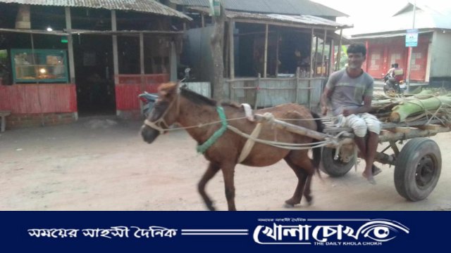 লালমনিরহাটে কৃষি পণ্য পরিবহনে ঘোড়ার গাড়ির কদর বাড়ছে