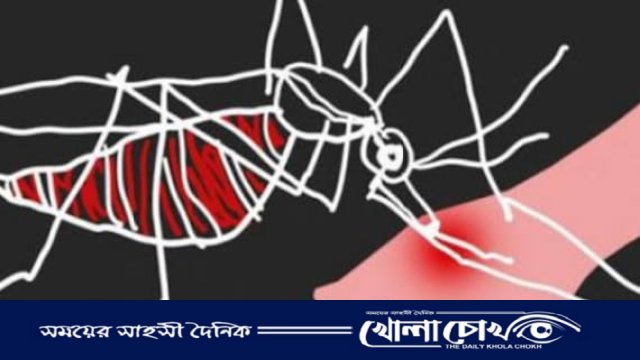 মধুখালীতে  ডেঙ্গুতে এক নারীর  মৃত্যু