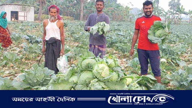 বালিয়াকান্দির প্রান্তিক কৃষক শামীমের মুখে হাসি, ফুলকপি ও বাঁধাকপি’র চাষে বাম্পার ফলন