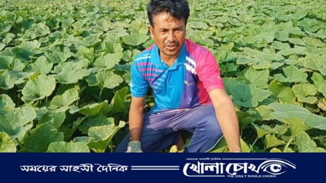 সবজি চাষ করে ব্যাপক সাড়া ফেলেছেন বিজয়নগরের জাকির মিয়া