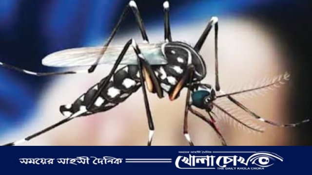 ফরিদপুরে ডেঙ্গুতে আক্রান্ত হয়ে ‌এক ব্যক্তির মৃত্যু 