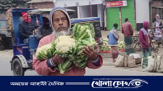 নওগাঁয় ফুলকপি বিক্রয় হচ্ছে ৫০ পয়সা থেকে ১ টাকায়