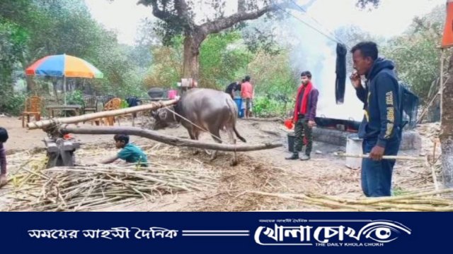 বিজয়নগরে সনাতন পদ্ধতিতে আখ মাড়াই করে ধরে রেখেছেন ঐতিহ্য