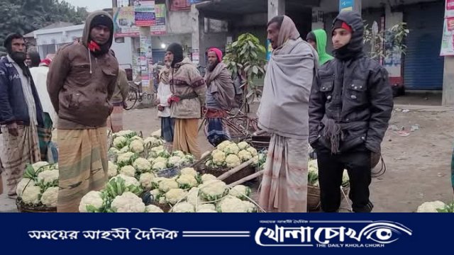 আক্কেলপুরে মুলা আর ফুলকপি নিয়ে বিপাকে কৃষকরা