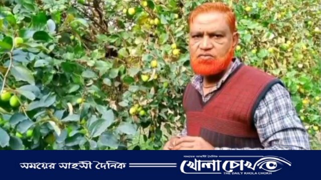 বিজয়নগরে  বড়ই চাষ করে ভাগ্য বদল করেছেন একজন স্কুল শিক্ষক