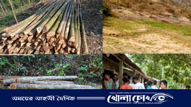 লামার ফেয়ারি এগ্রো'র বাগান এখন মরুর ধূসরতায় রুপ নিয়েছে