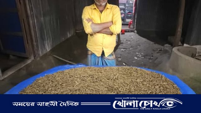 পীরগাছায় সেনাবাহিনীর অভিযানে ১০ কেজি ৫০০ গ্রাম গাঁজা উদ্ধার