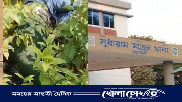 নিখোঁজের তিন দিন পর তরুণের অর্ধগলিত লাশ উদ্ধার