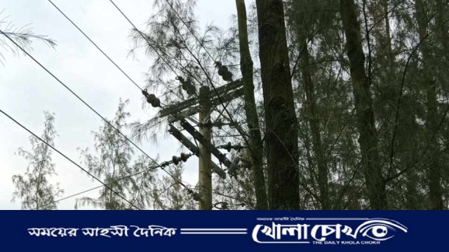 ৮ বছর ধরে বিদ্যুৎহীন সুবর্ণচরের তিন গ্রাম, দাঁড়িয়ে আছে শুধু খুঁটি