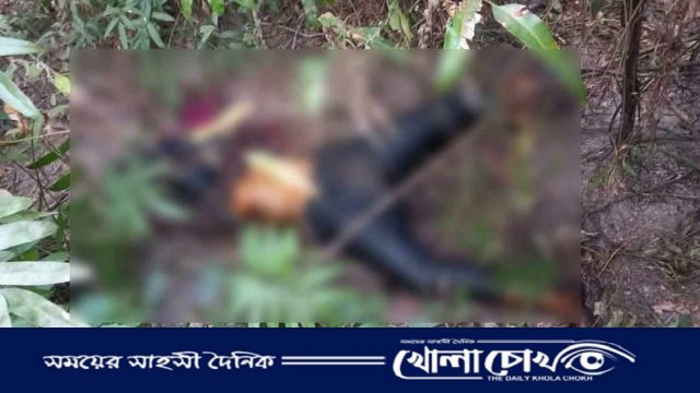 মঠবাড়িয়ায় পরিত্যক্ত বাড়ির বাগান থেকে যুবতীর অর্ধগলিত লাশ উদ্ধার